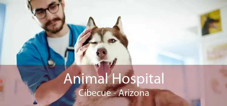 Animal Hospital Cibecue - Arizona