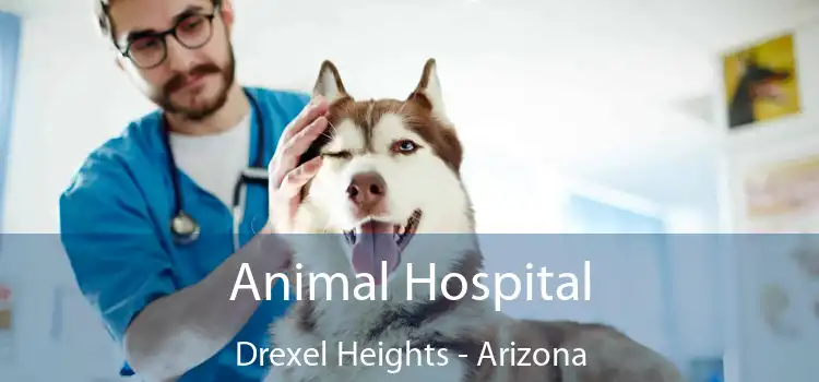 Animal Hospital Drexel Heights - Arizona