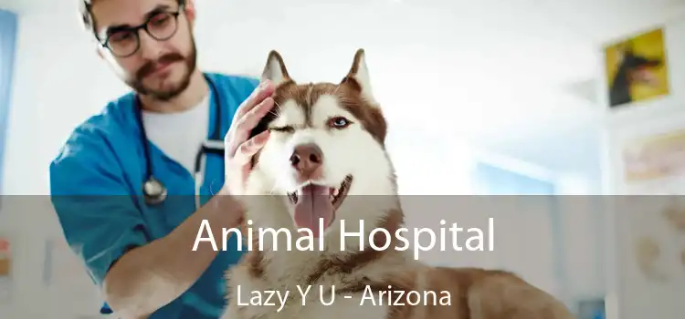 Animal Hospital Lazy Y U - Arizona