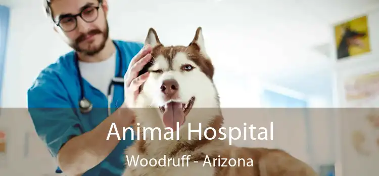 Animal Hospital Woodruff - Arizona