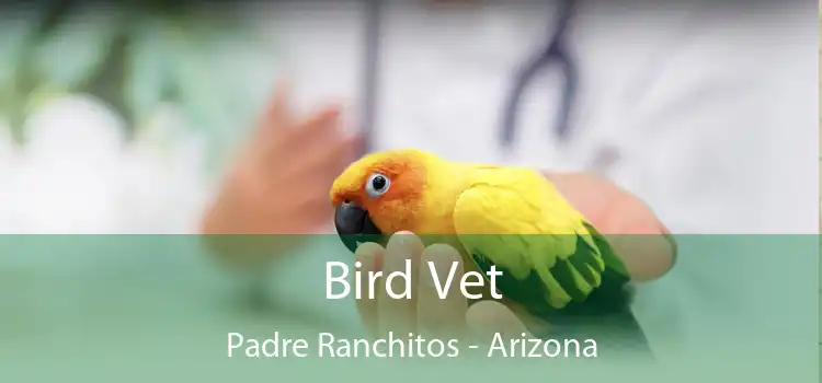 Bird Vet Padre Ranchitos - Arizona