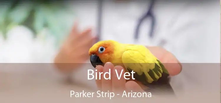 Bird Vet Parker Strip - Arizona