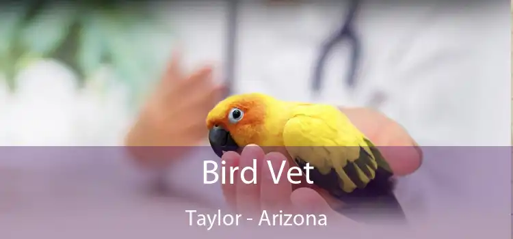 Bird Vet Taylor - Arizona