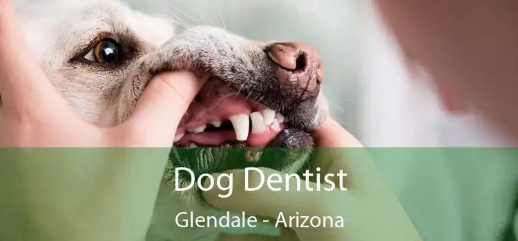 Dog Dentist Glendale - Arizona