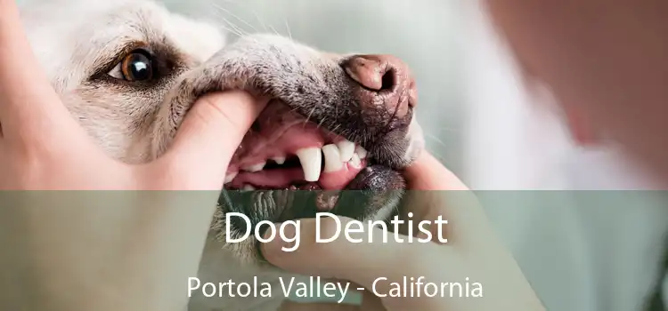 Dog Dentist Portola Valley - California