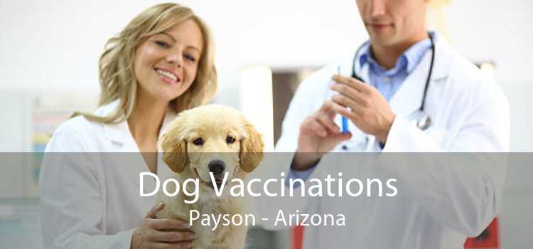 how often do dogs need rabies shots in az