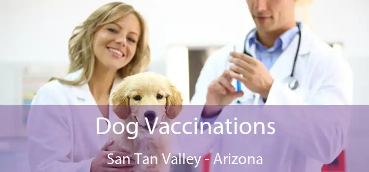 Dog Vaccinations San Tan Valley - Arizona