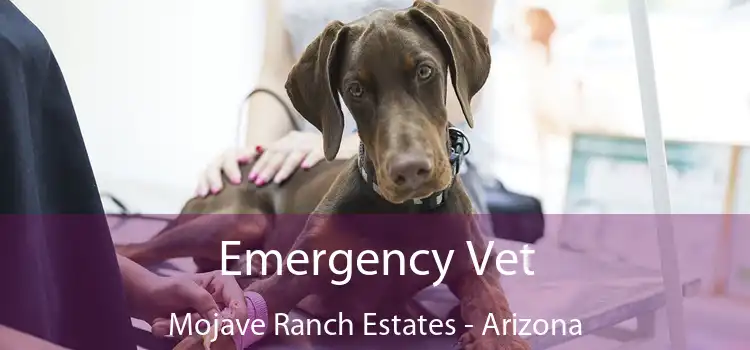 Emergency Vet Mojave Ranch Estates - Arizona