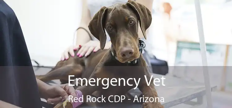 Emergency Vet Red Rock CDP - Arizona