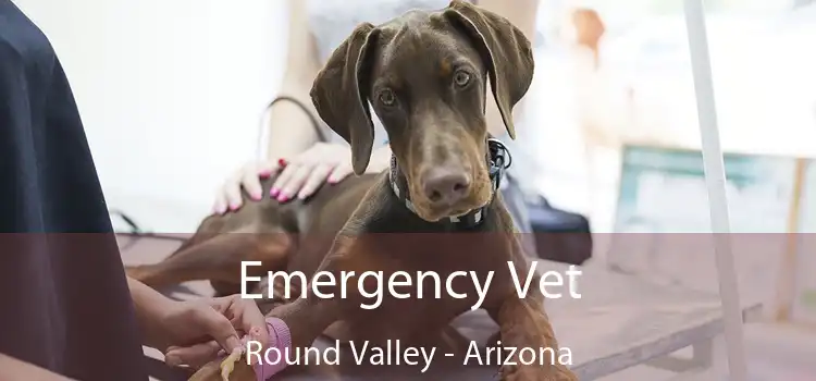 Emergency Vet Round Valley - Arizona