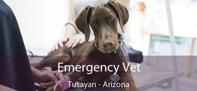 Emergency Vet Tusayan - Arizona