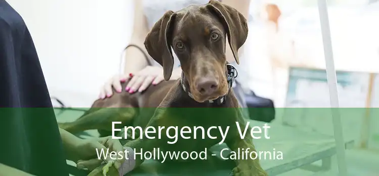 Emergency Vet West Hollywood - California