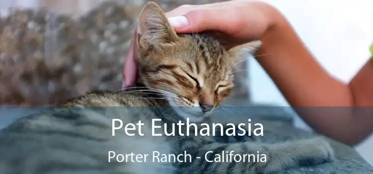 Pet Euthanasia Porter Ranch - California