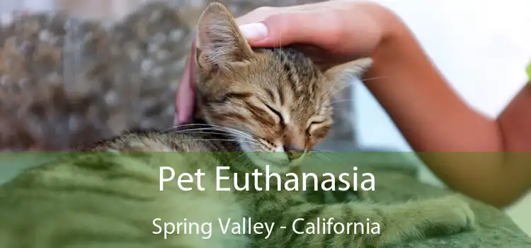 Pet Euthanasia Spring Valley - California