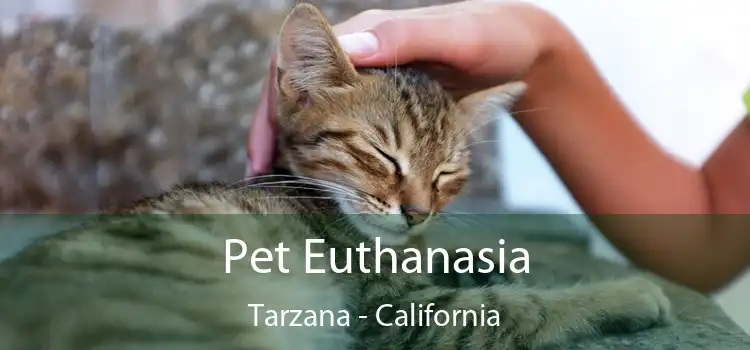 Pet Euthanasia Tarzana - California