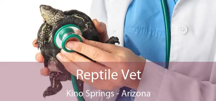 Reptile Vet Kino Springs - Arizona