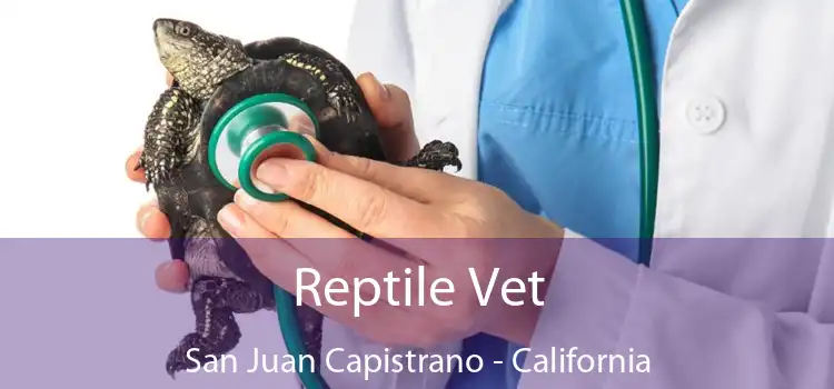 Reptile Vet San Juan Capistrano - California