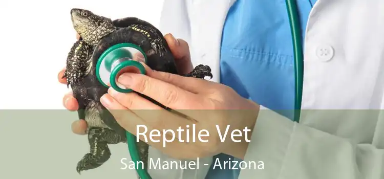 Reptile Vet San Manuel - Arizona