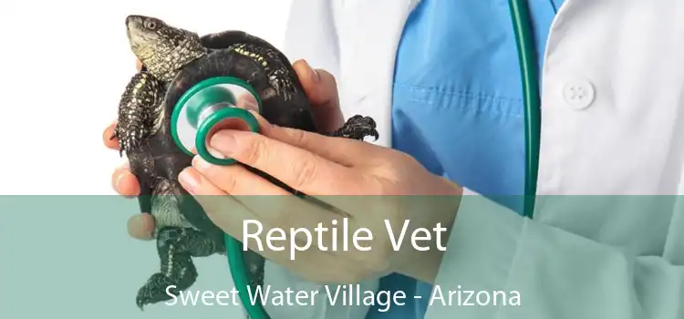 Reptile Vet Sweet Water Village - Arizona