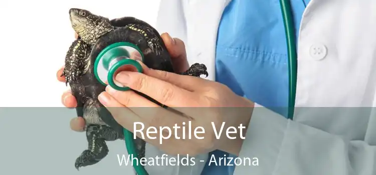 Reptile Vet Wheatfields - Arizona