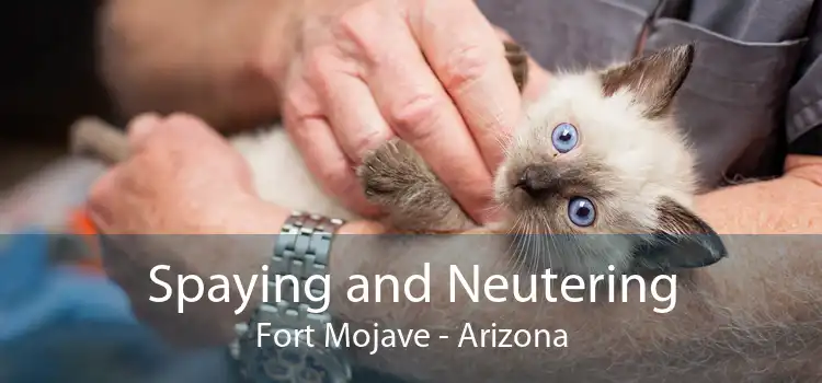 Spaying and Neutering Fort Mojave - Arizona