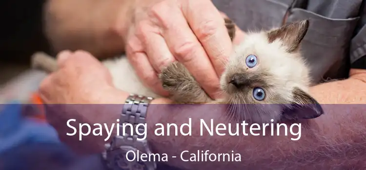 Spaying and Neutering Olema - California