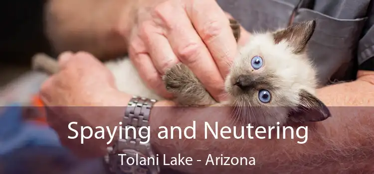 Spaying and Neutering Tolani Lake - Arizona