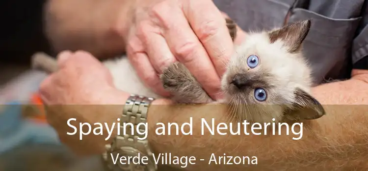 Spaying and Neutering Verde Village - Arizona