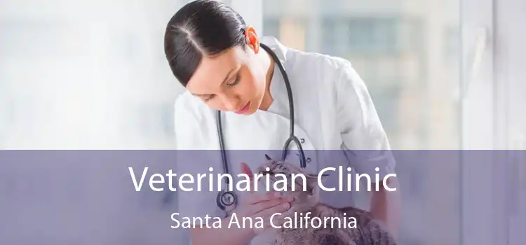 Veterinarian Clinic Santa Ana California